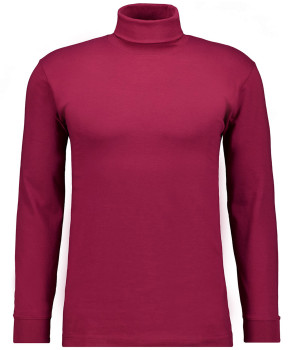 Basic turtle neck shirt long sleeve