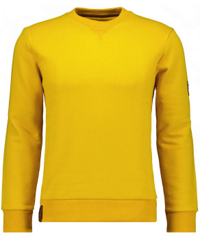 Sweatshirt with Roundneck