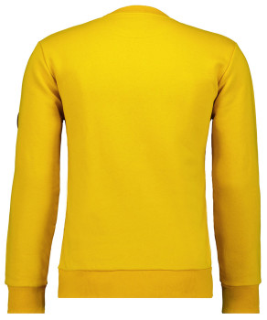 Sweatshirt with Roundneck